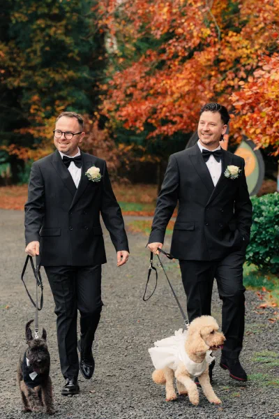Two grooms with their dogs at a Dublin wedding